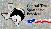 Central Texas Sporthorse Breeders